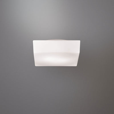 Eurofase - 16620-048 - Two Light Flushmount - Amata - White