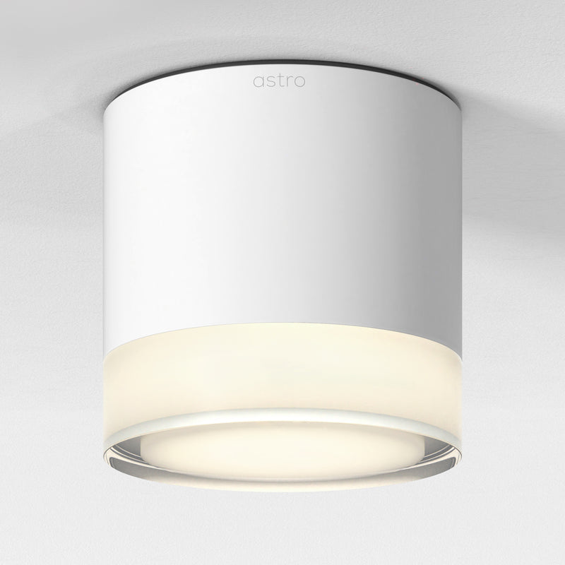 Ottawa Downlight Ceiling Light