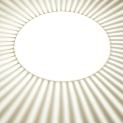 Solis Pendant / Wall Light