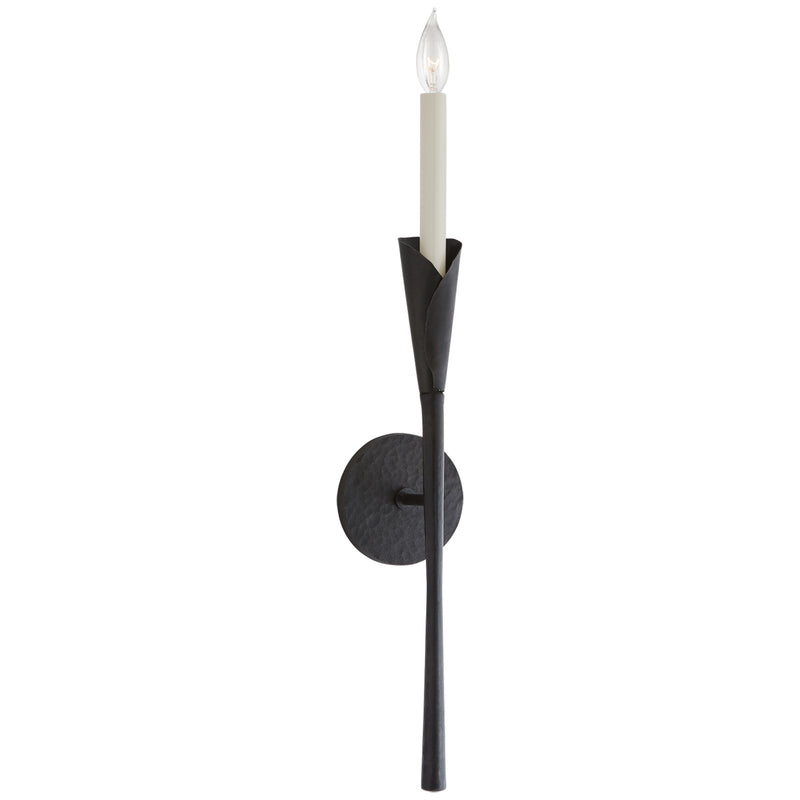 Aiden Bare Tail Wall Sconce