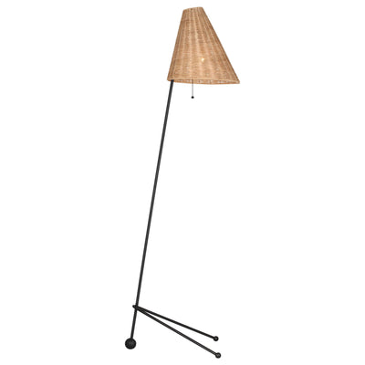 Visual Comfort Studio - AET1171AIBRTN1 - One Light Floor Lamp - Gustav - Aged Iron