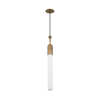 Troy Lighting - F1405-PBR - One Light Pendant - Darby - Patina Brass