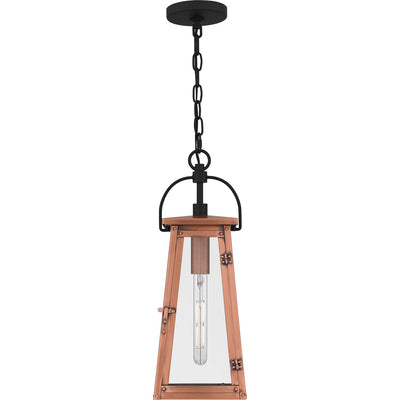 Carolina Outdoor Hanging Lantern