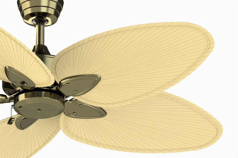 Windpointe Ceiling Fan