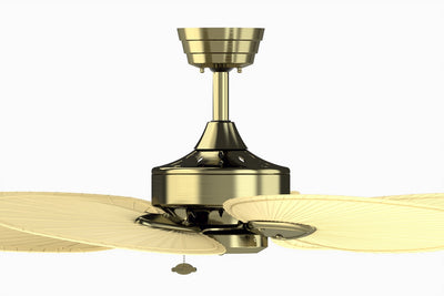 Windpointe Ceiling Fan