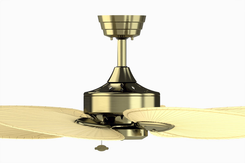 Windpointe Ceiling Fan