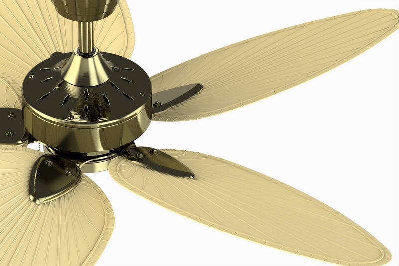 Windpointe Ceiling Fan