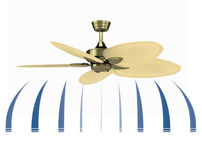 Windpointe Ceiling Fan