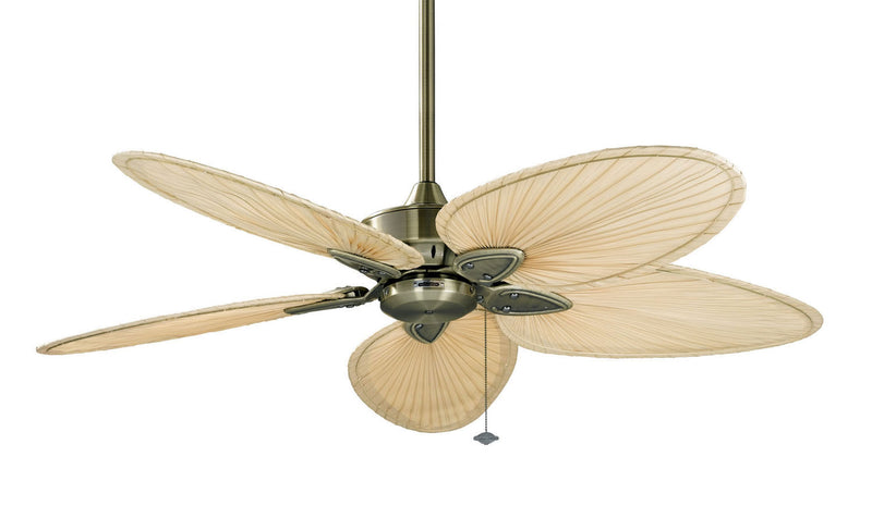 Fanimation - FP7500AB - 52"Ceiling Fan - Windpointe - Antique Brass