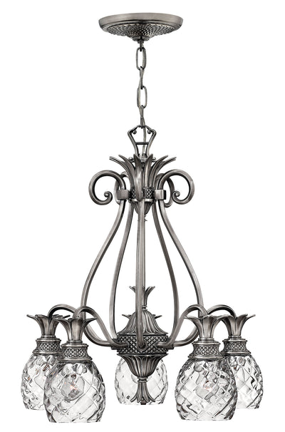Hinkley-4885PL-Polished Antique Nickel / Clear Optic