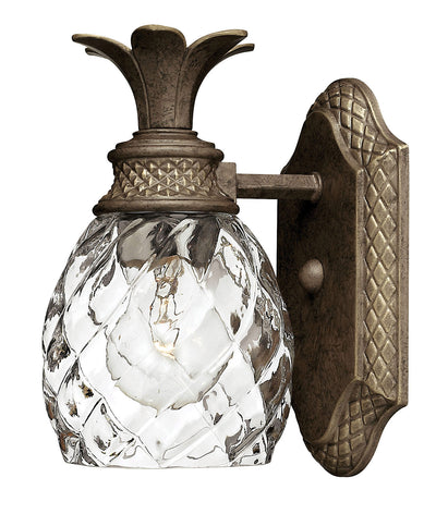 Hinkley-5310PZ-Pearl Bronze / Clear Optic