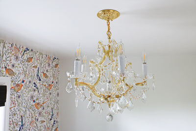 Maria Theresa Dish Chandelier