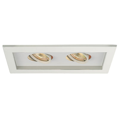 Low Voltage 2-Light Multiple Spot Invisible Trim