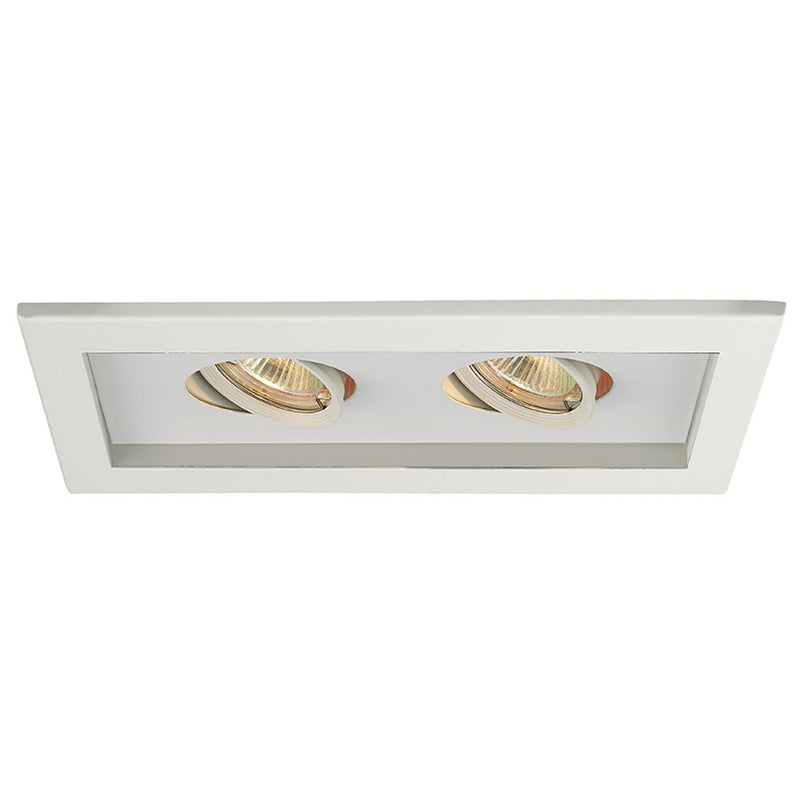 Low Voltage 2-Light Multiple Spot Invisible Trim