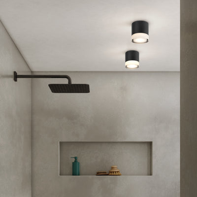 Ottawa Downlight Ceiling Light