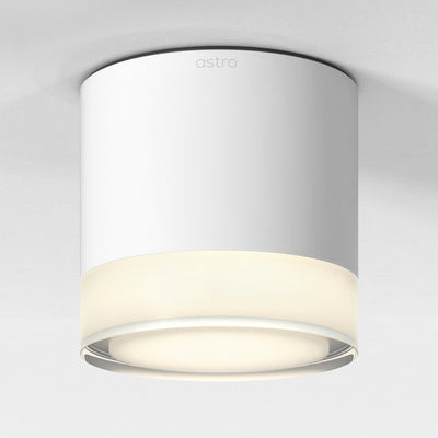 Ottawa Downlight Ceiling Light