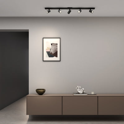 Ascoli Spotlight