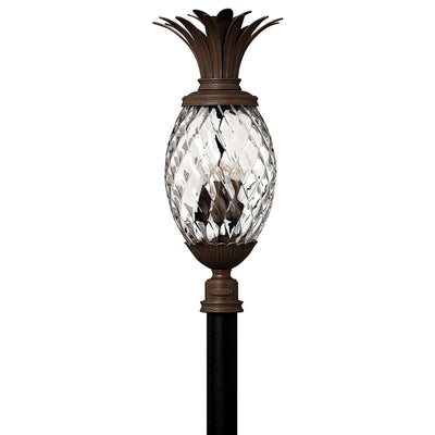Pineapple 120V Outdoor Post / Pier Mount Clear Optic