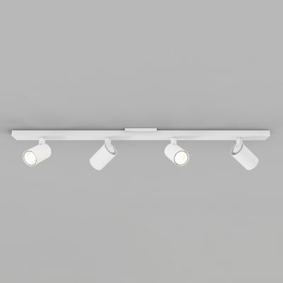 Ascoli Bar Wall / Ceiling Spot Light