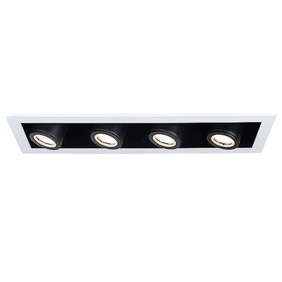 Silo Multiples Adjustable Spot Trim and Housing