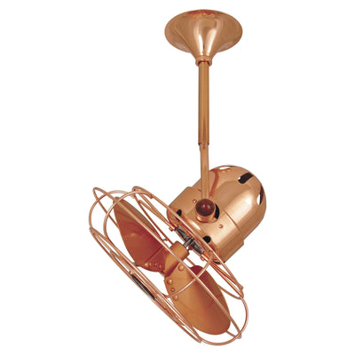 Bianca Directional Fan