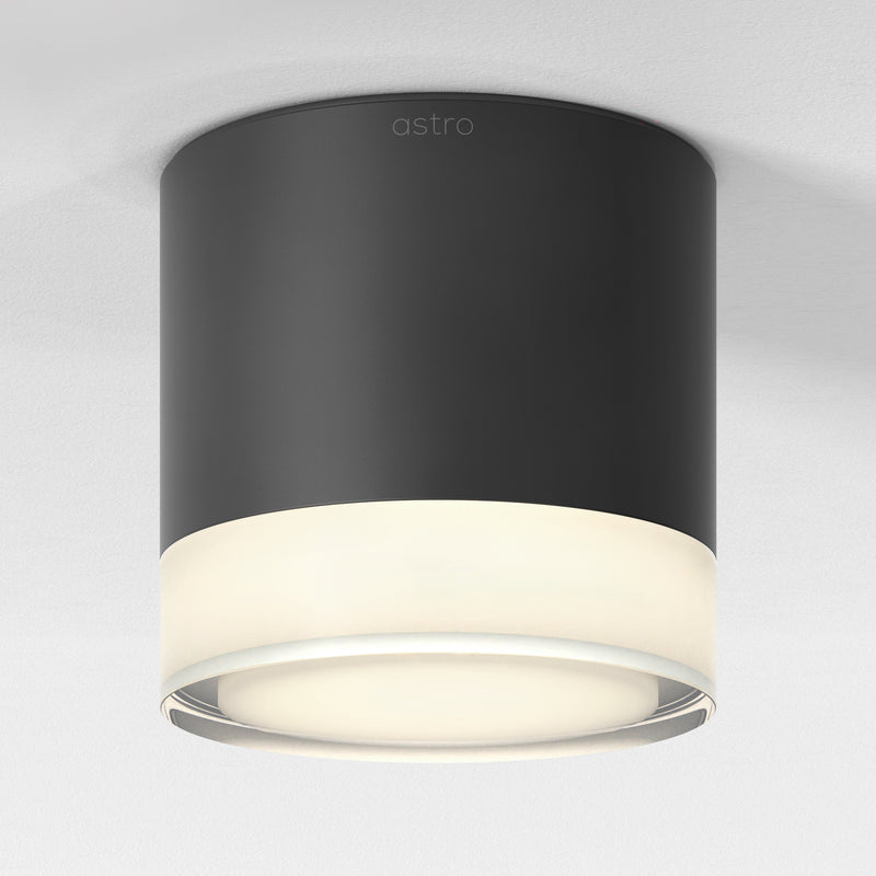 Ottawa Downlight Ceiling Light