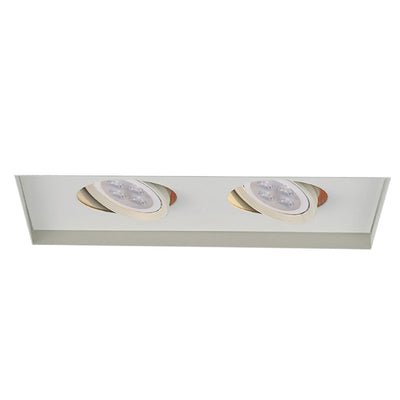Low Voltage 2-Light Multiple Spot Invisible Trim