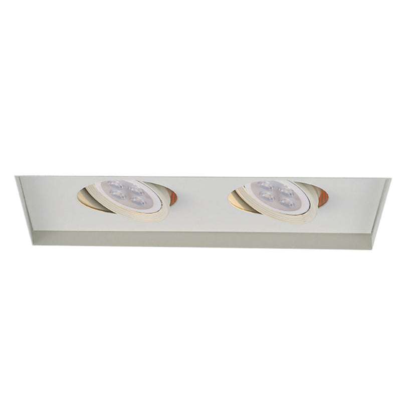 Low Voltage 2-Light Multiple Spot Invisible Trim