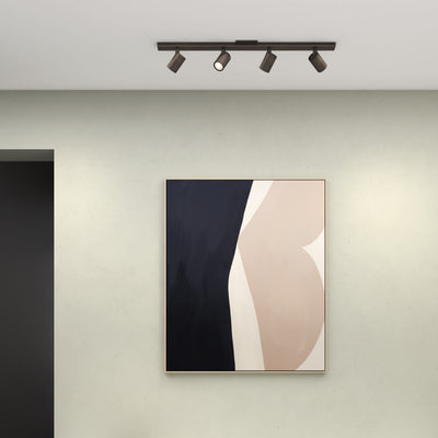 Ascoli Bar Wall / Ceiling Spot Light