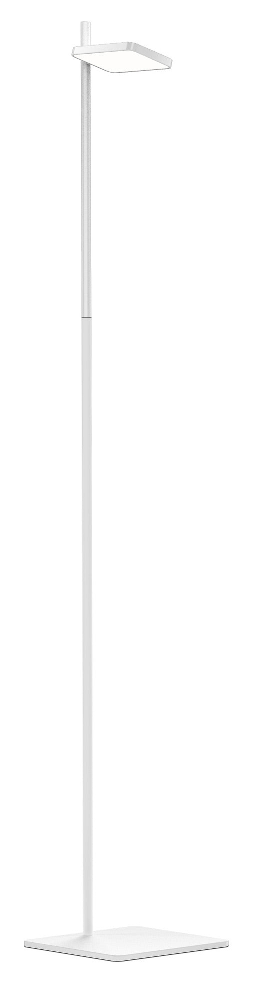 Pablo Designs - TALI FLR WHT - White
