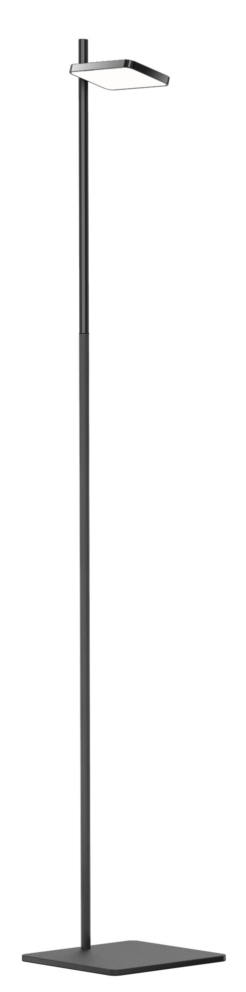 Pablo Designs - TALI FLR BLK - Black