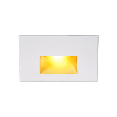 W.A.C. Lighting - WL-LED100-AM-WT - LED Step and Wall Light - Led100 - White on Aluminum
