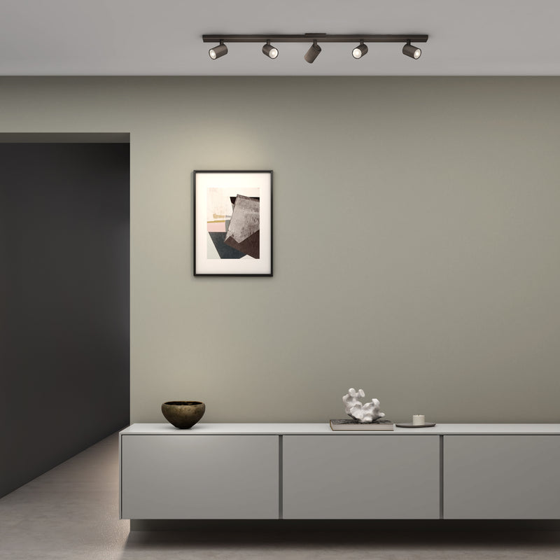 Ascoli Spotlight