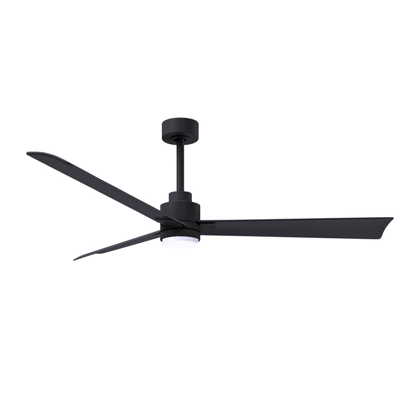 Alessandra Outdoor Ceiling Fan with Light