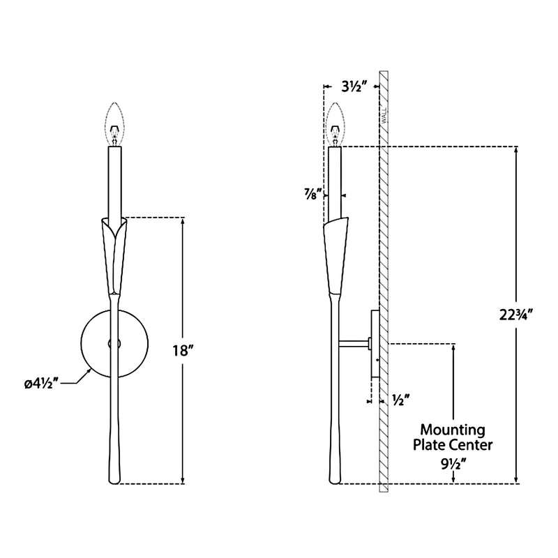 Aiden Bare Tail Wall Sconce