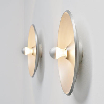 Model 262 LED Wall/Ceiling Light