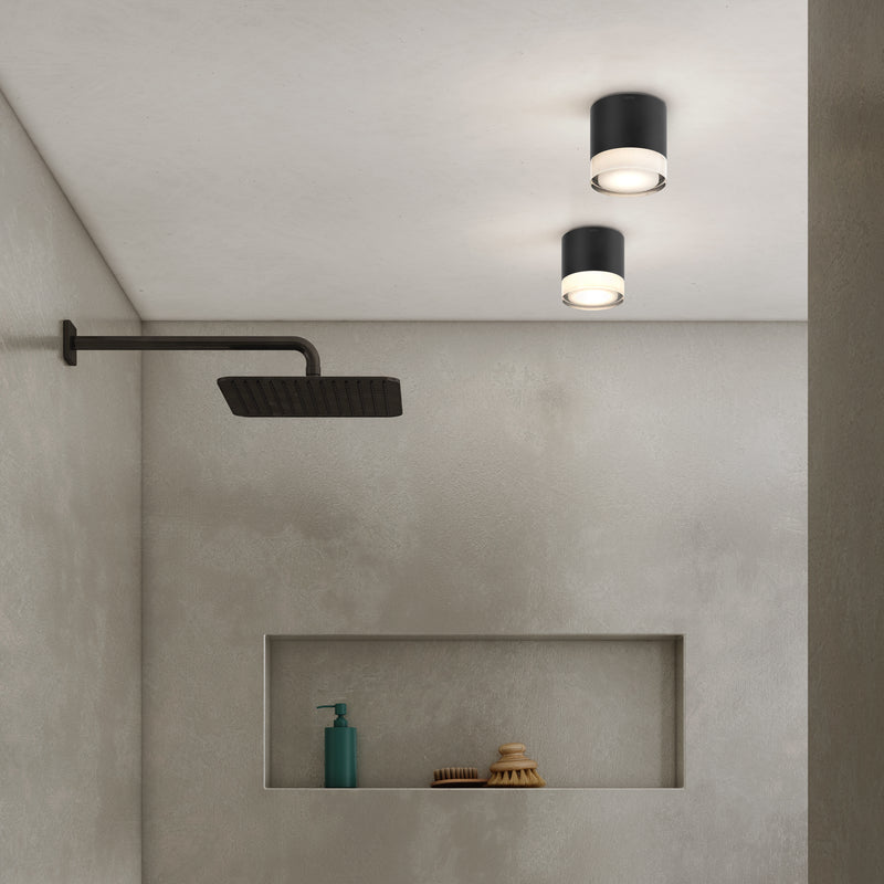 Ottawa Downlight Ceiling Light