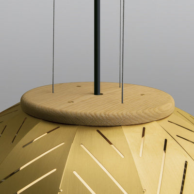 Amicus 21 Pendant Light