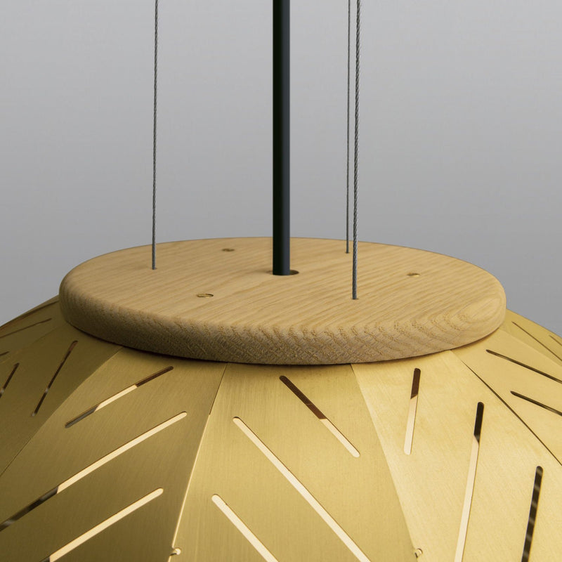 Amicus 21 Pendant Light