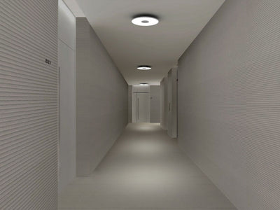 Circa Ceiling Light