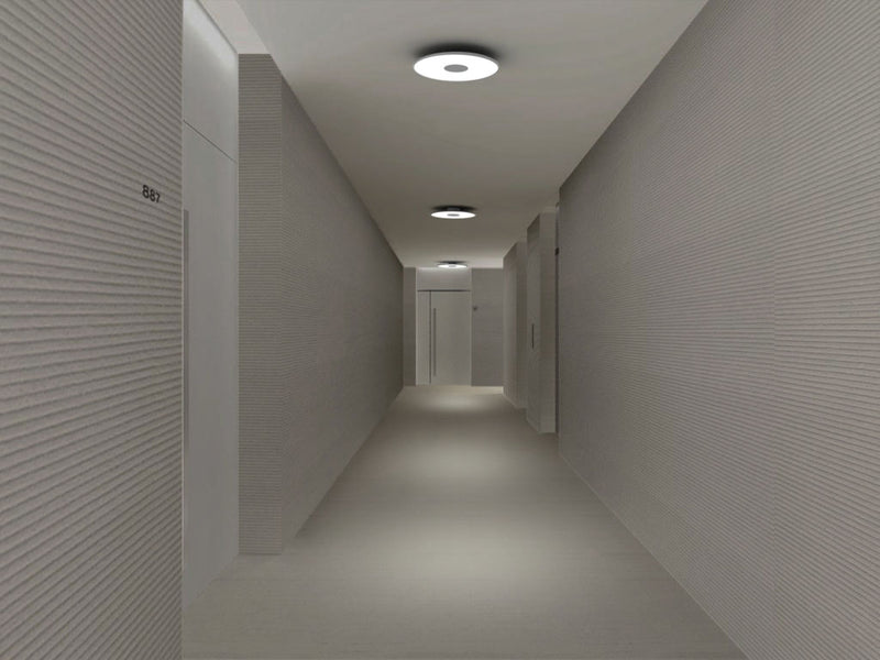 Circa Ceiling Light