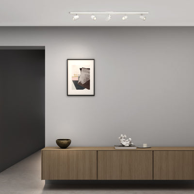 Ascoli Spotlight