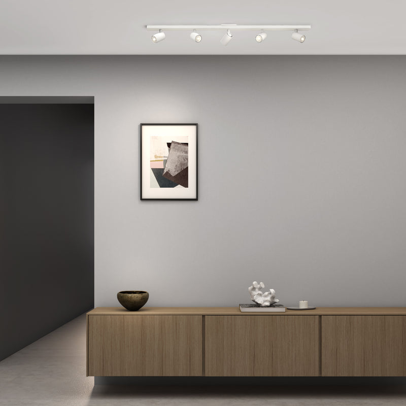 Ascoli Spotlight