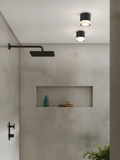 Ottawa Downlight Ceiling Light