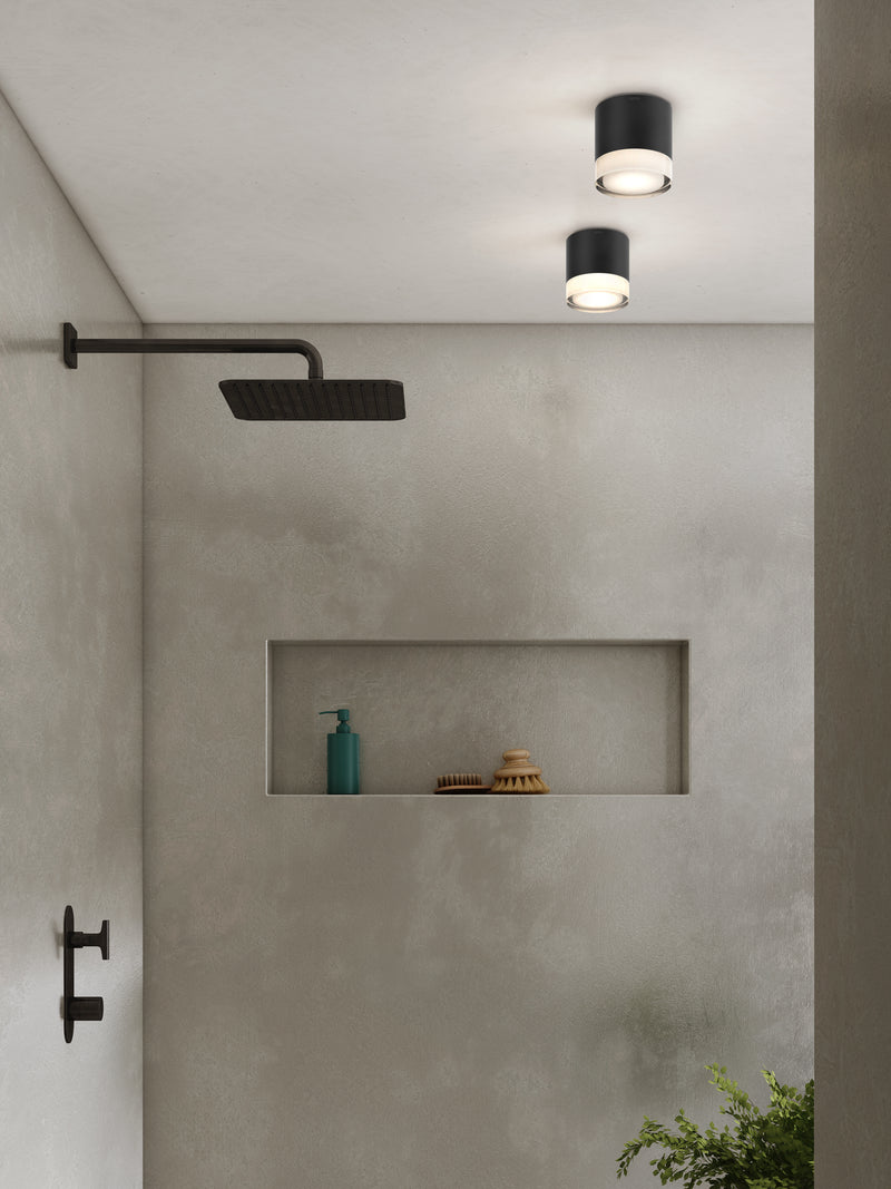 Ottawa Downlight Ceiling Light