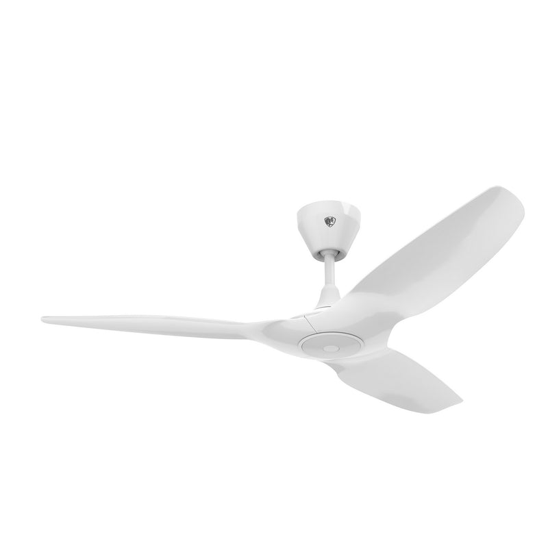 Haiku L Ceiling Fan