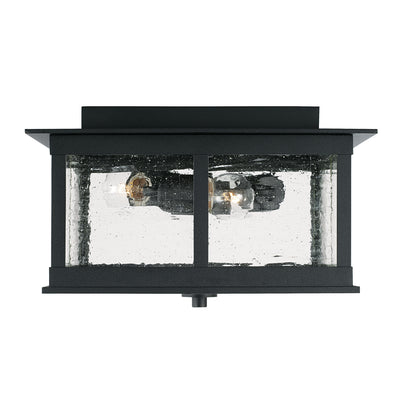 Barrett Outdoor Ceiling Light