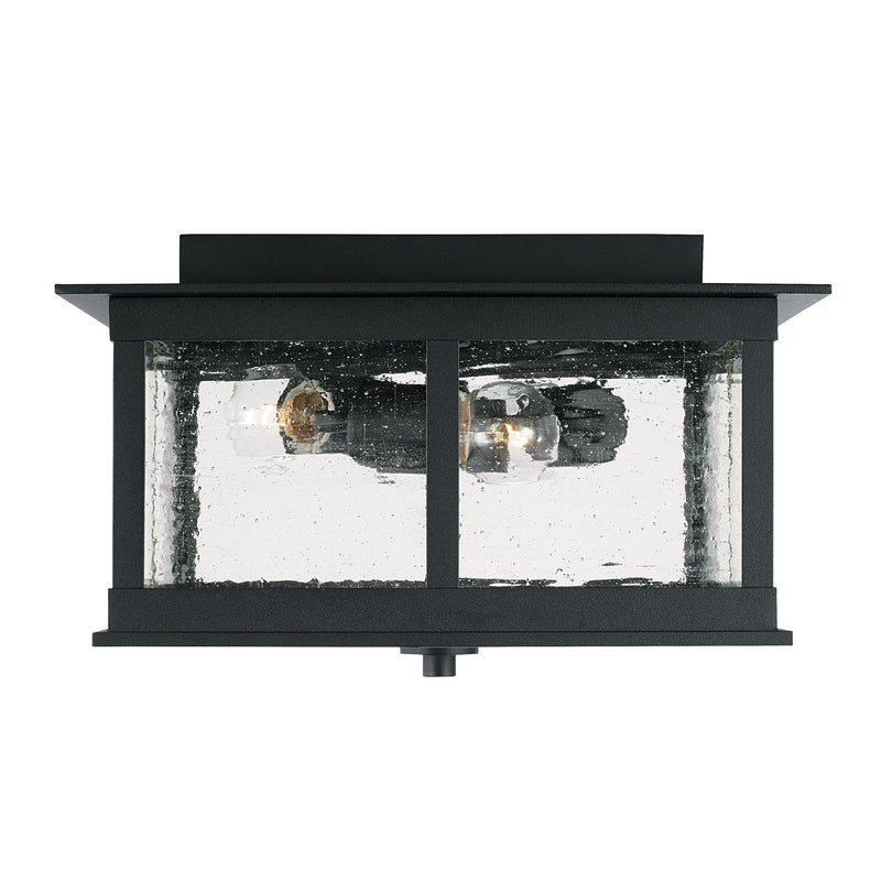 Barrett Outdoor Ceiling Light