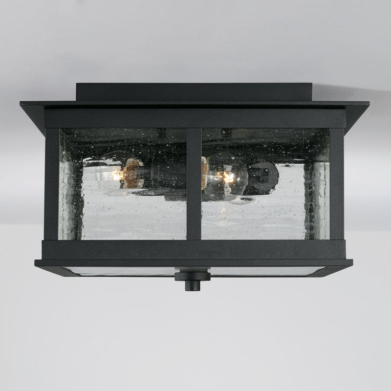Barrett Outdoor Ceiling Light