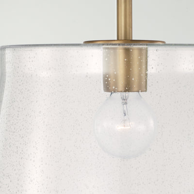 Baker Dual Mount Pendant